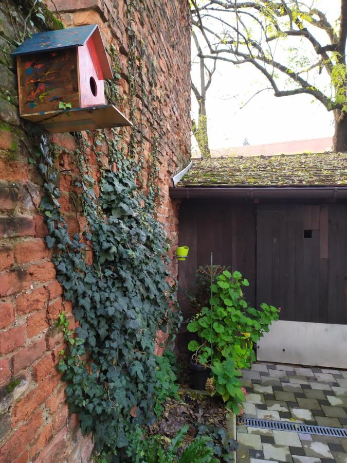 Tiny cozy accommodation Zagrzeb Zewnętrze zdjęcie